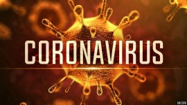 Kế hoạch phòng chống virus Corona